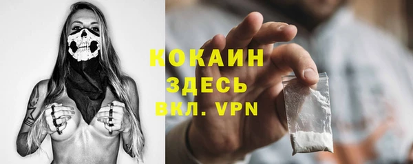 ешки Алексин