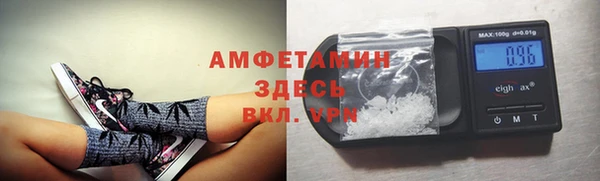 ешки Алексин
