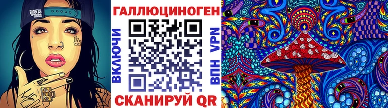 Псилоцибиновые грибы Psilocybine cubensis  Константиновск 